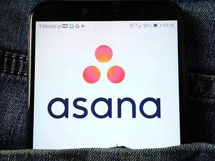 Remote working tools: Everything you need to know about Asana