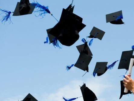 Just 16pc of graduates have found jobs this year, survey suggests