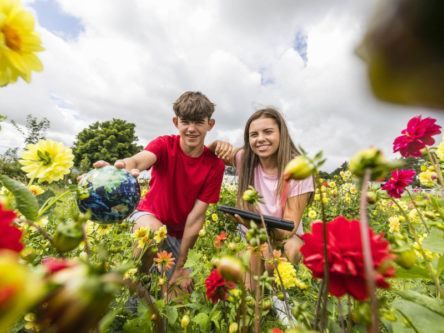 BTYSTE extends application deadline for 2021 exhibition