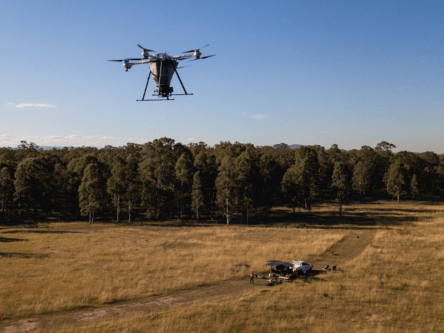 Dendra raises $10m to restore biodiversity with drones