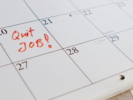 Are you wondering if you should quit your job?