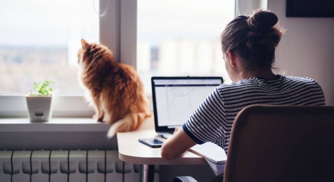 A woman freelancer is doing part-time work at home with a cat sitting on the windowsill behind her desk.