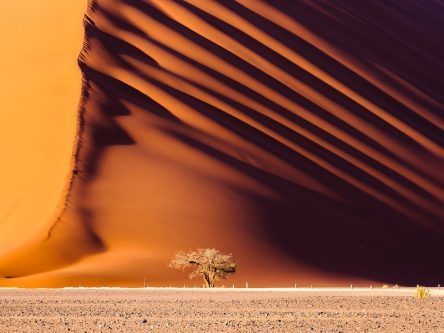 Sand dunes seen ‘communicating’ with each other in strange discovery