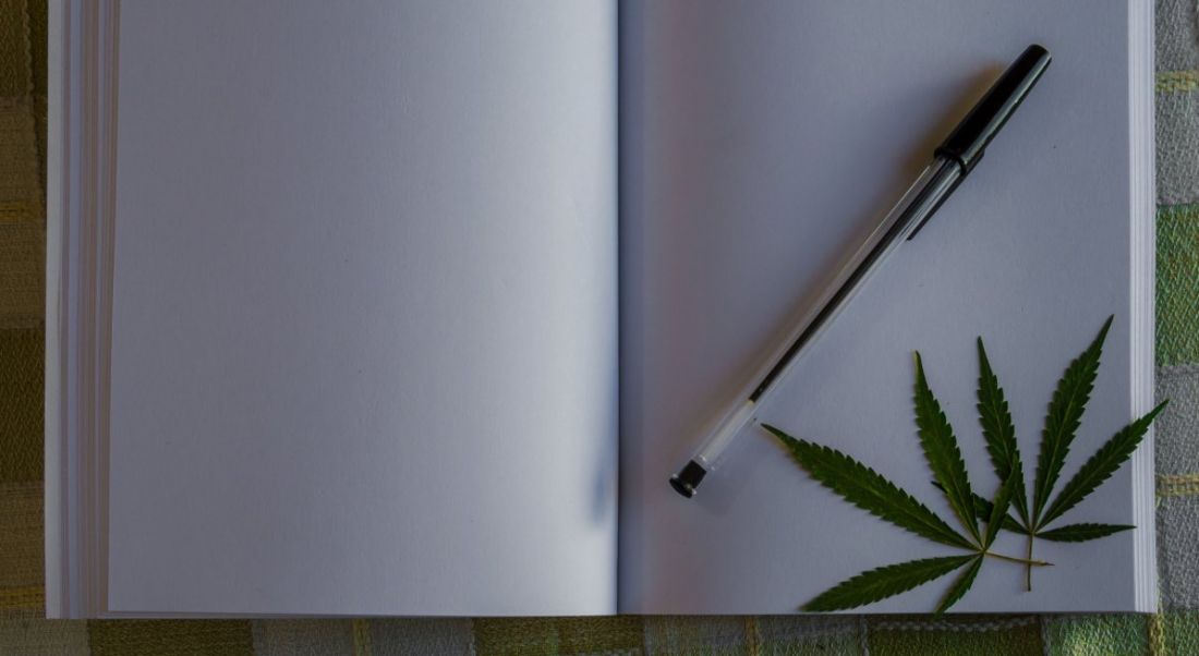 Blank notebook with cannabis leaves and black pen.