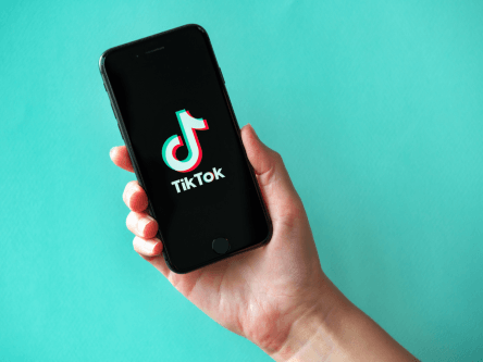 Reddit CEO describes ‘parasitic’ TikTok as ‘spyware’