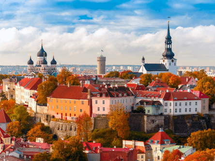 Estonian hackathon tackles issues caused by Covid-19