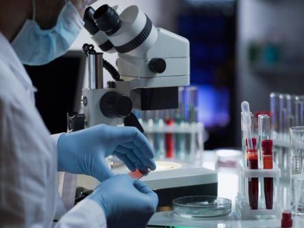 Researchers in Ireland affected by Covid-19 to get €47m funding