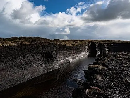 €126m Bord na Móna plan aims to store 100m tonnes of CO2 in peatland