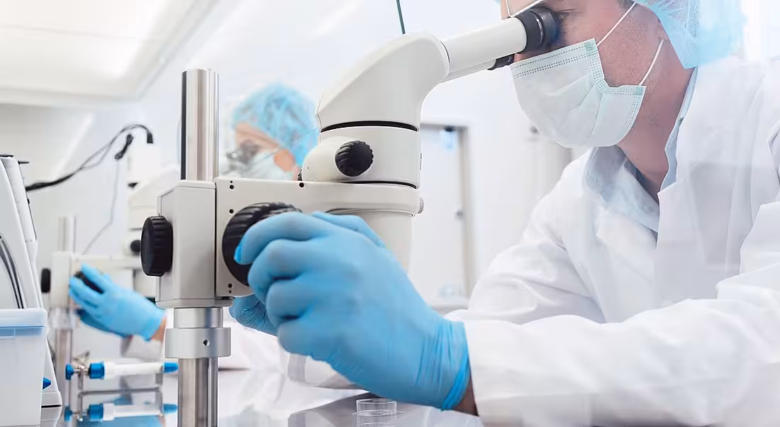 Lab technicians in full PPE working on microscopes.