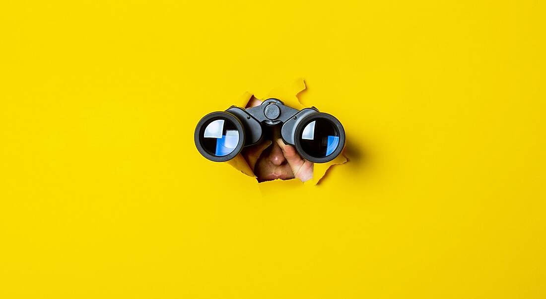 Hands holding on to a set of binoculars burst through a sunflower-yellow background.