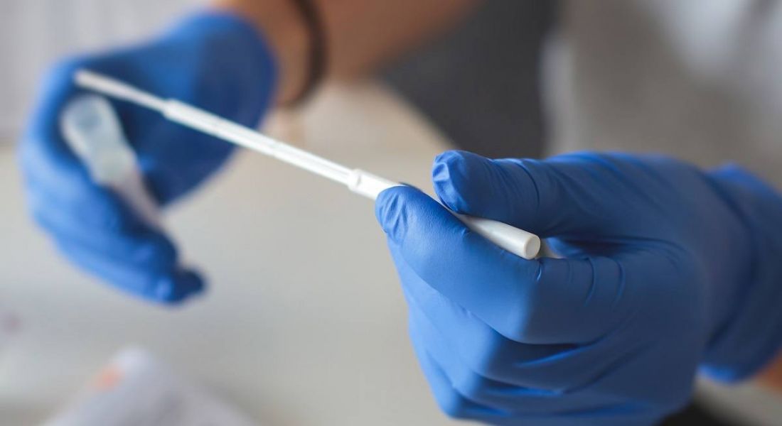 Hands in blue gloves holding a Covid-19 testing swab.