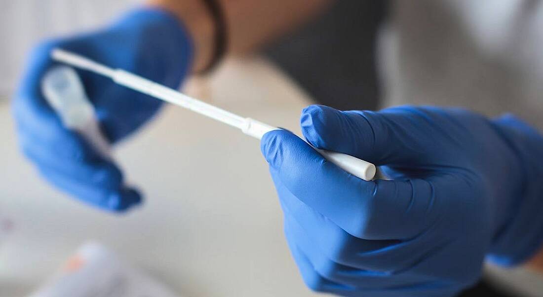 Hands in blue gloves holding a Covid-19 testing swab.