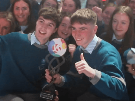 BTYSTE 2020 winners reveal key steps to success in competition