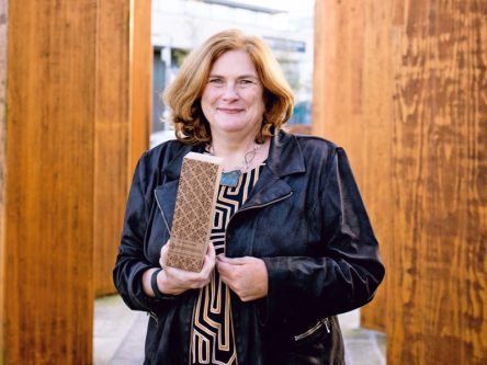 Dr Jane Suiter named Irish Research Council’s Researcher of the Year
