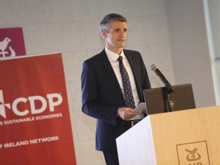 Four Irish companies receive A grade from CDP for climate actions