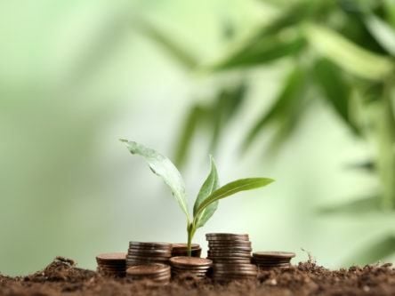 $200m seed fund to help start-ups scale ‘from inception to IPO’