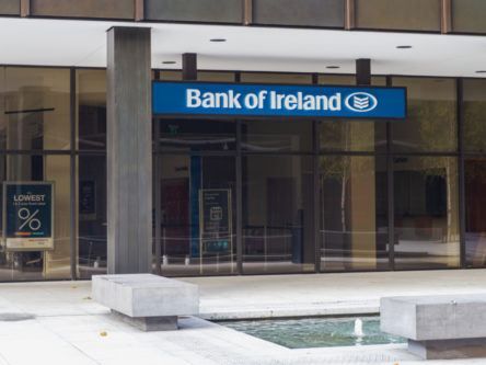 Bank of Ireland to recruit 130 IT specialists