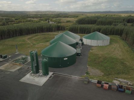 Arklow biogas facility could create renewable energy for data centre
