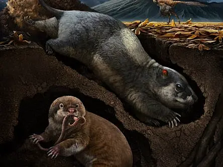 Scientists unearth ancient species of mammal-like burrowers