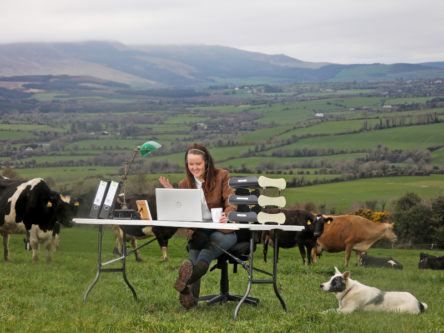 Report: 80pc of Irish farmers turn to tech to enhance operations