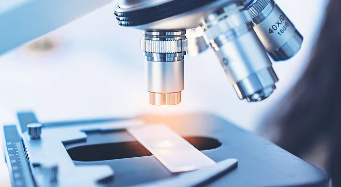 A close-up of a microscope examining a slide.