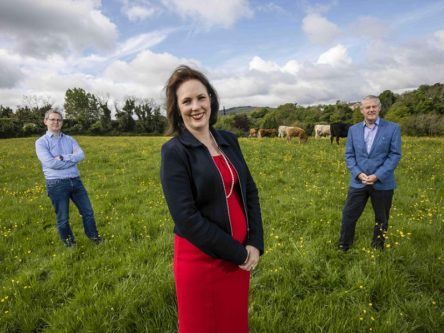 Yield Lab Europe closes €50m fund to back agritech start-ups