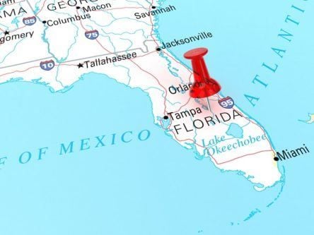 Florida passes law banning the ‘deplatforming’ of politicians