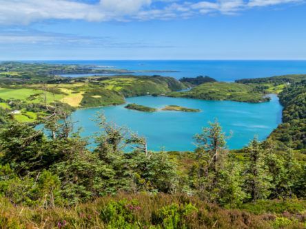 How a west Cork lough is offering a window to the changing ocean