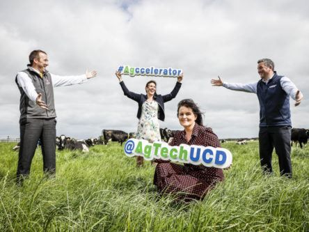 UCD to grow food and agritech start-ups with new accelerator
