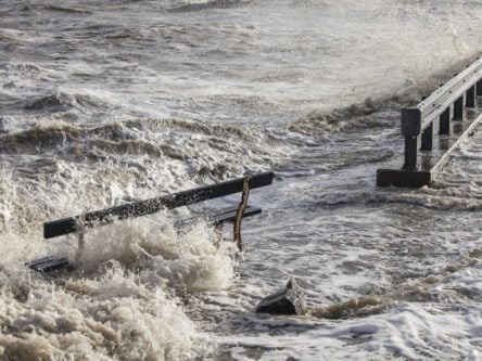 Rising sea levels will cause surge of flooding under moon’s ‘wobble’