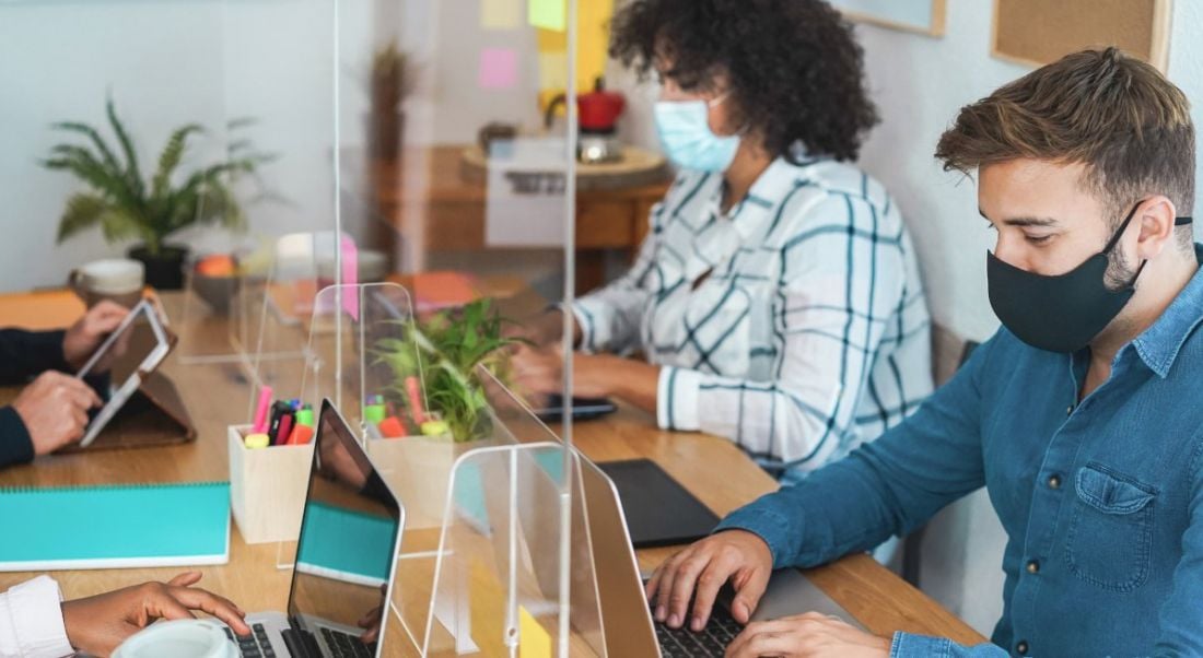 Two people working side by side in an office. They are wearing face coverings and there is a Perspex divider between them and the other side of the desk.