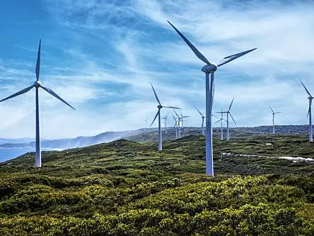 Project could see windfarms in Ireland become ‘mini nature reserves’