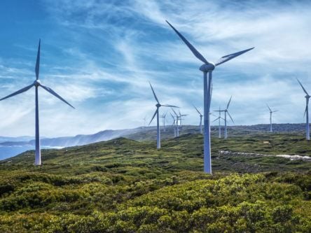 Project could see windfarms in Ireland become ‘mini nature reserves’