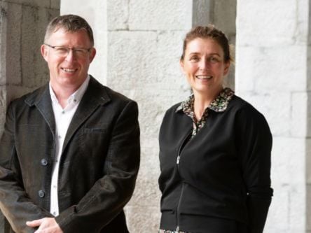 Galway’s Aró Digital Strategy promises 42 new jobs by 2026