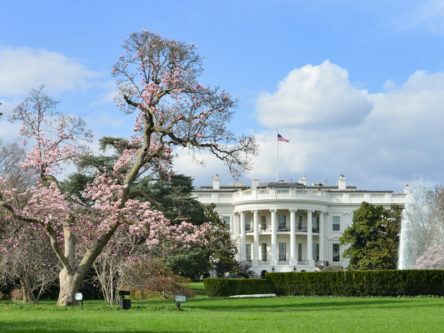 Big Tech to work with US on cybersecurity after meeting with Biden