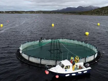 Online aquaculture course schools learners on new marine discipline