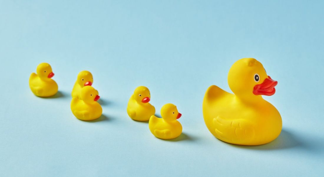 Row of toy rubber ducks following their mother duck against blue background. Similar to employees following their managers.