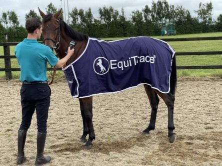 Kildare start-up EquiTrace on course for expansion with Merck deal