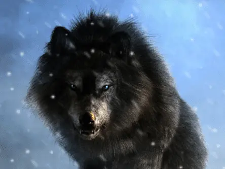 Ancient DNA sheds light on Game of Thrones’ dire wolves