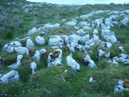 Antibiotic properties unearthed in Northern Irish soil