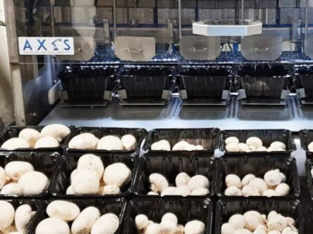 Axis Technology wins £4m deal with Canadian mushroom grower