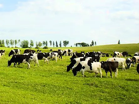 Limerick dairy research gets €14m funding to boost sustainability