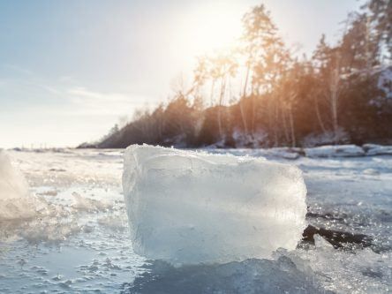 ‘Alarm bells’ as UN confirms new record temperature for the Arctic