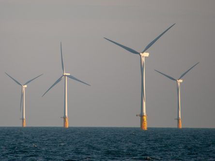 Government urged by Irish wind industry to boost offshore opportunities