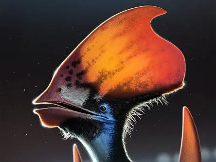 Irish-led study finds flying dinosaur cousins had colour-changing feathers