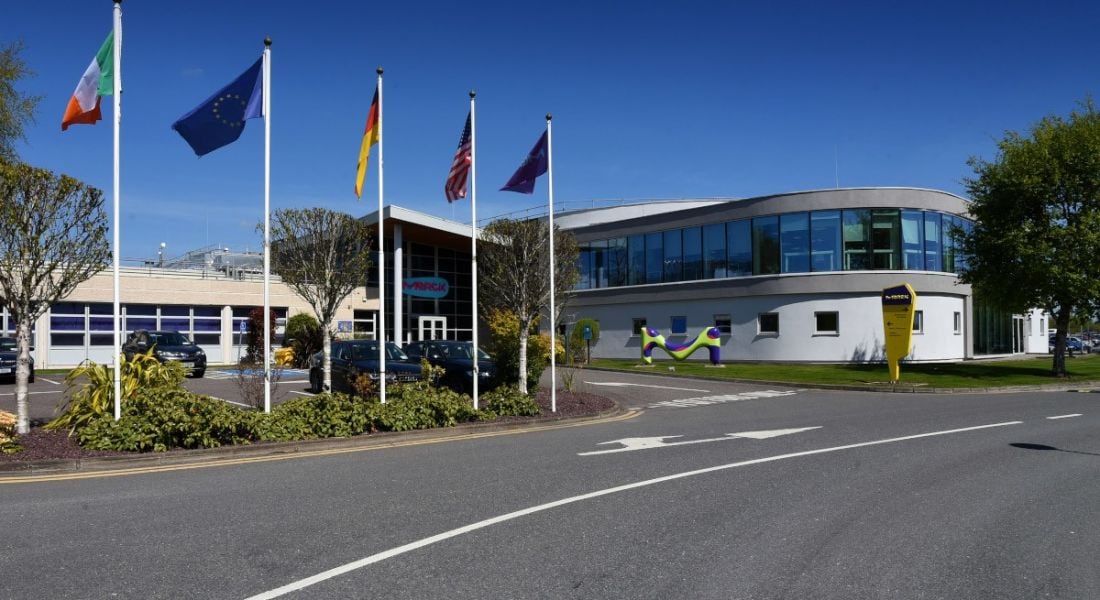 A building with five flags in front of it, which includes the flags of Ireland, Germany, the US and the EU. The Merck logo is visible on the building.