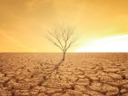 50pc chance temperatures will hit tipping point by 2026, WMO warns