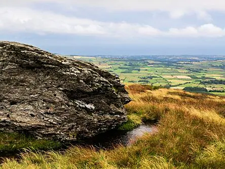 AI is a powerful ally in Ireland’s battle for biodiversity