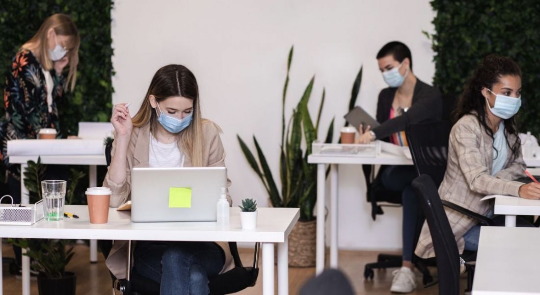 Group of women working at a remote working hub in a modern office sitting at separate desks.