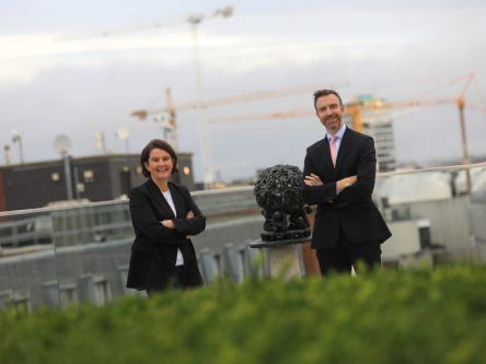 New AIB fund for Irish SMEs playing a role in the green transition